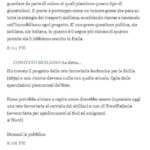 ilconsiglio-blogspot-26-3-09_pagina_3