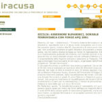 u-siracusa-metropolisinfo