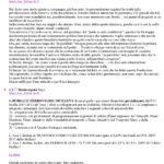 www-mobilitapalermo-org-mobpa-2009-03-31-trasporto-pubbl_pagina_6